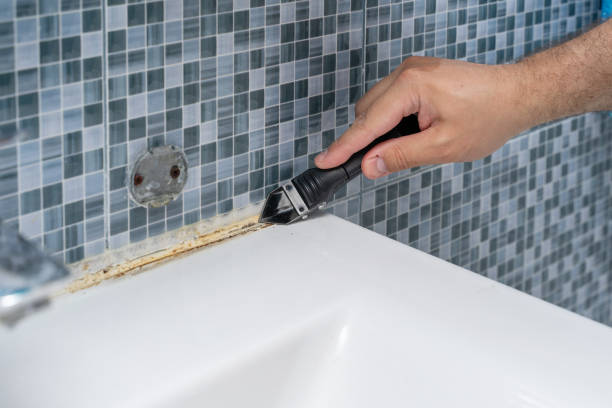 Best Insurance-Related Mold Remediation in Mulberry, IN