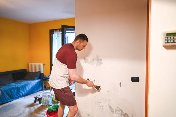 Best Post-Flood Mold Remediation in Mulberry, IN